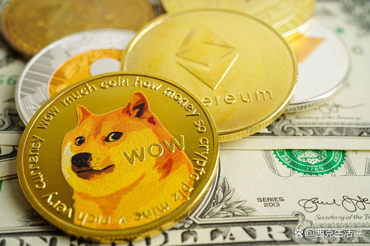 包含专家称SHIB将在年底冲破狗狗币美元，引发引发关注的词条